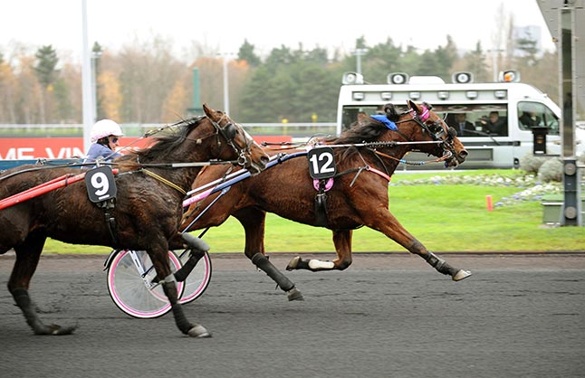 Acheter Un Cheval De Course En Multipropriété